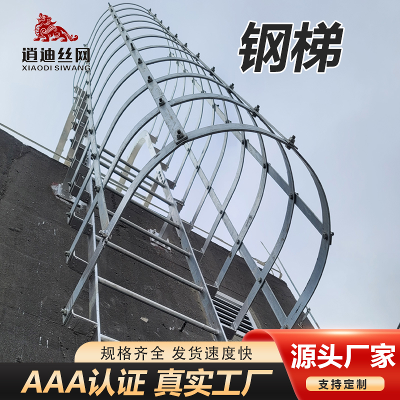 屋麵檢修爬梯